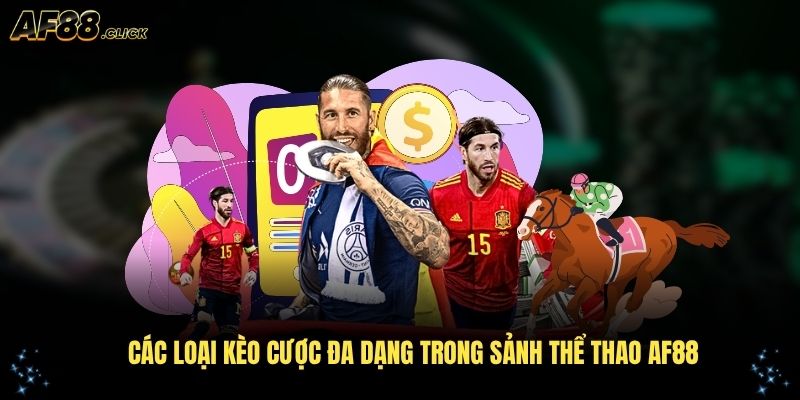 Khám phá các loại kèo cược đa dạng trong sảnh thể thao AF88